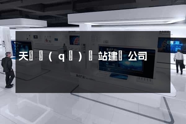 天寧區(qū)網站建設公司