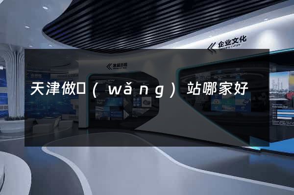 天津做網(wǎng)站哪家好