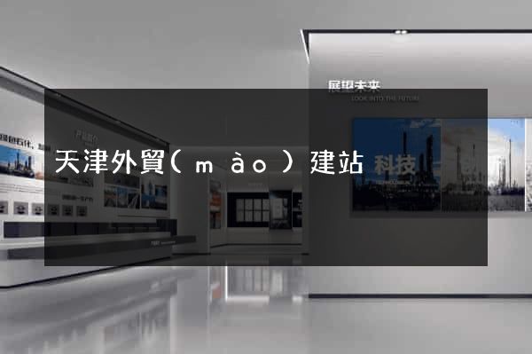 天津外貿(mào)建站