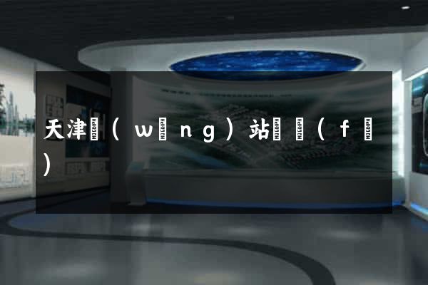 天津網(wǎng)站開發(fā)