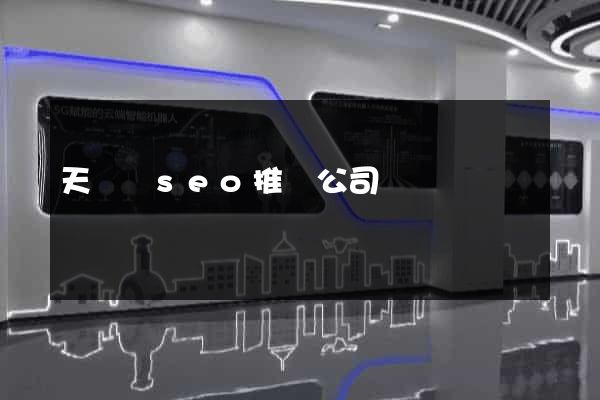 天臺縣seo推廣公司