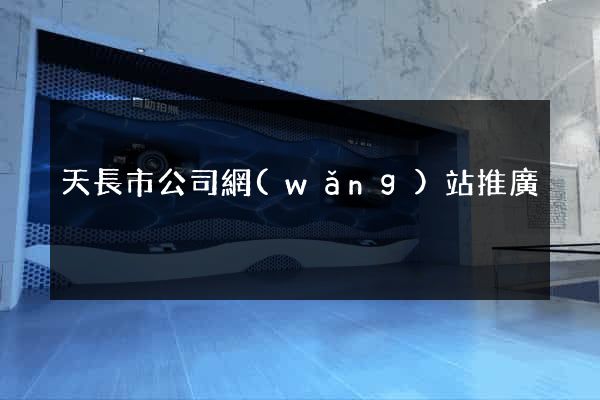 天長市公司網(wǎng)站推廣