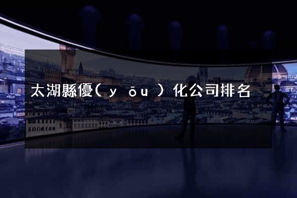 太湖縣優(yōu)化公司排名