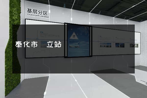 奉化市獨立站運營