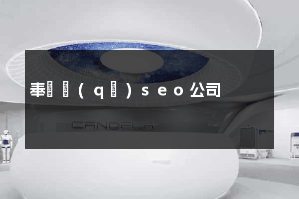 奉賢區(qū)seo公司