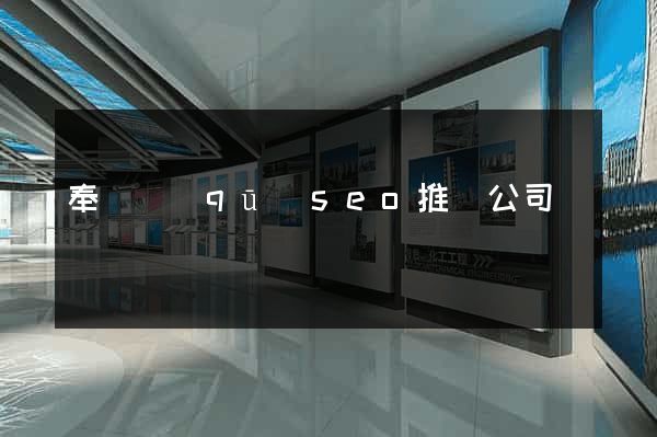 奉賢區(qū)seo推廣公司