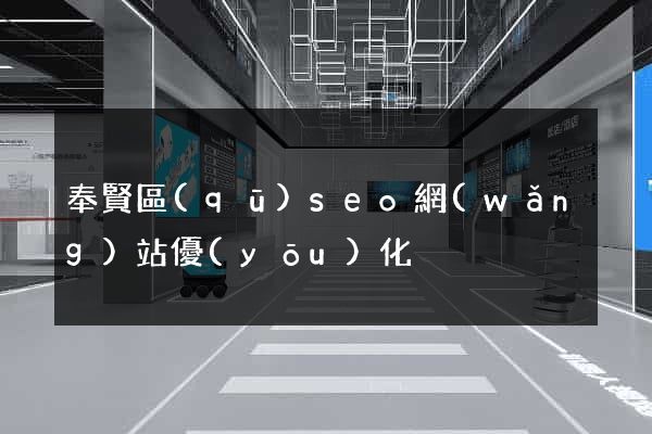 奉賢區(qū)seo網(wǎng)站優(yōu)化