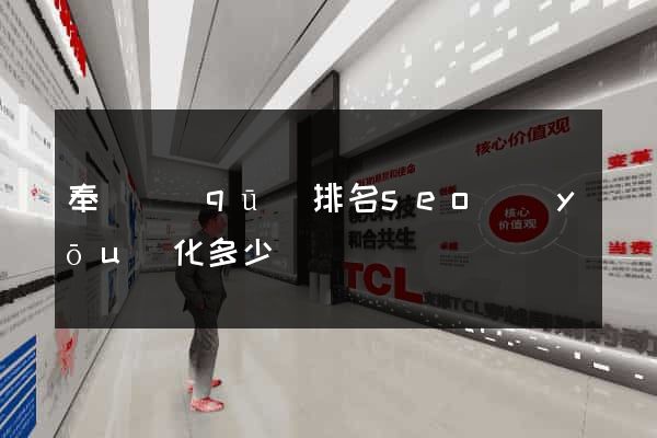 奉賢區(qū)排名seo優(yōu)化多少錢