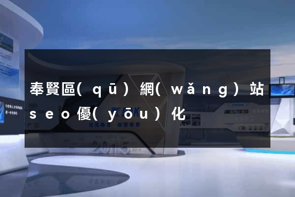 奉賢區(qū)網(wǎng)站seo優(yōu)化