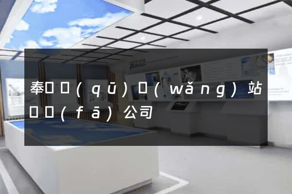 奉賢區(qū)網(wǎng)站開發(fā)公司