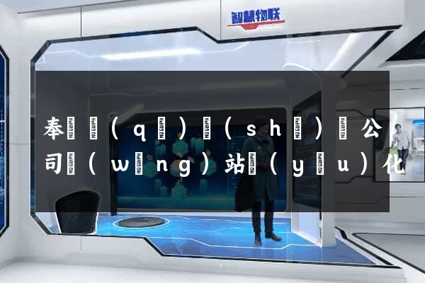 奉賢區(qū)設(shè)計公司網(wǎng)站優(yōu)化