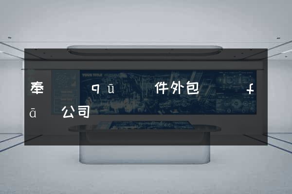 奉賢區(qū)軟件外包開發(fā)公司