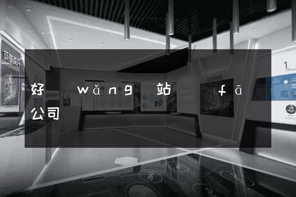 好網(wǎng)站開發(fā)公司
