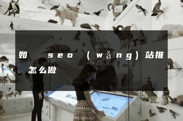 如東縣seo網(wǎng)站推廣怎么做
