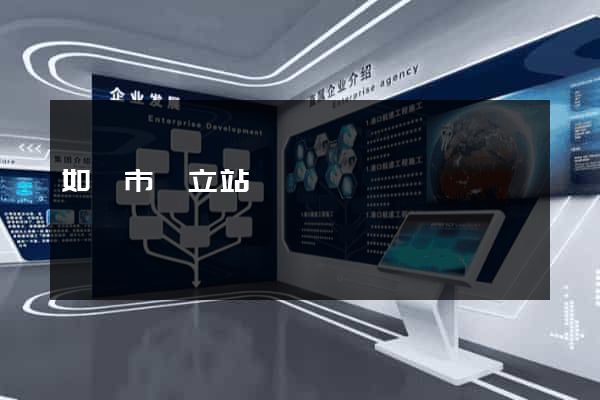 如皋市獨立站運營