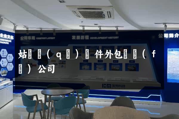 姑蘇區(qū)軟件外包開發(fā)公司