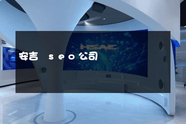 安吉縣seo公司