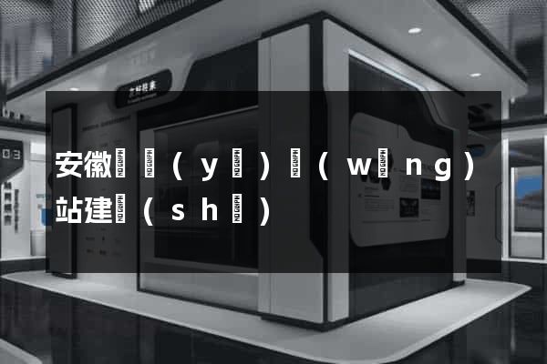 安徽專業(yè)網(wǎng)站建設(shè)