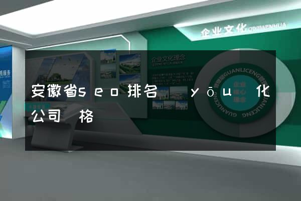 安徽省seo排名優(yōu)化公司價格