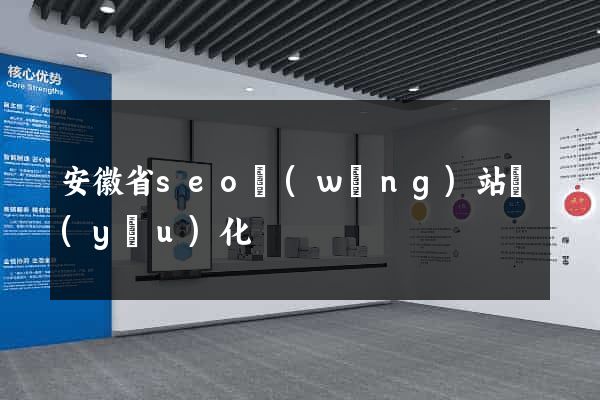 安徽省seo網(wǎng)站優(yōu)化