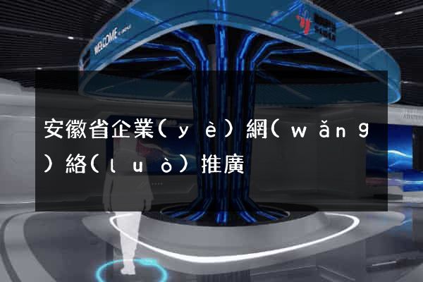 安徽省企業(yè)網(wǎng)絡(luò)推廣