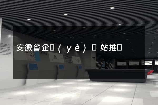 安徽省企業(yè)網站推廣