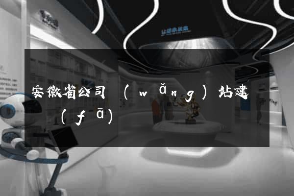 安徽省公司網(wǎng)站建設開發(fā)