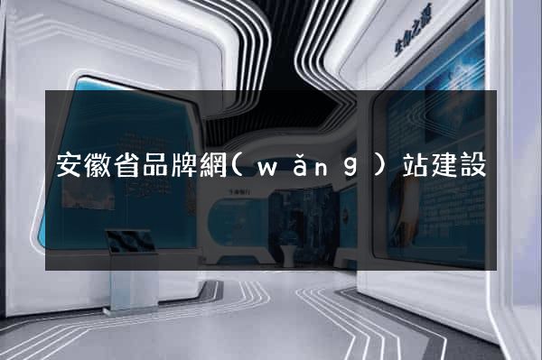 安徽省品牌網(wǎng)站建設
