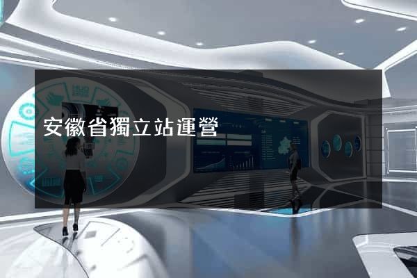安徽省獨立站運營