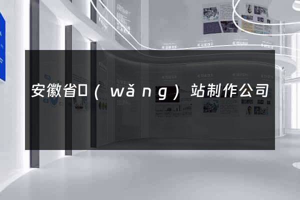 安徽省網(wǎng)站制作公司