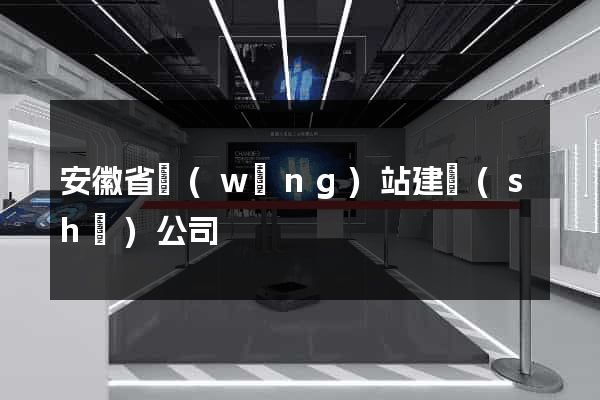 安徽省網(wǎng)站建設(shè)公司