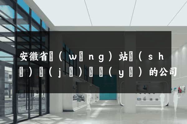 安徽省網(wǎng)站設(shè)計(jì)專業(yè)的公司
