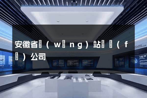 安徽省網(wǎng)站開發(fā)公司