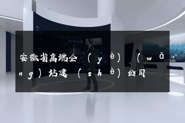 安徽省高端企業(yè)網(wǎng)站建設(shè)公司