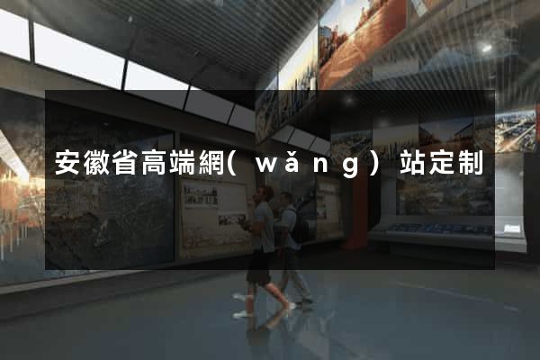 安徽省高端網(wǎng)站定制