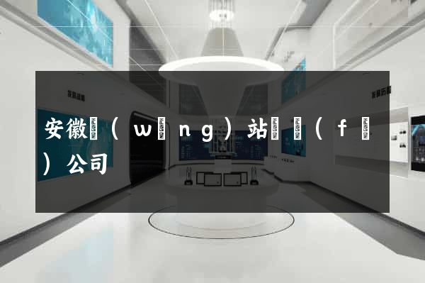 安徽網(wǎng)站開發(fā)公司