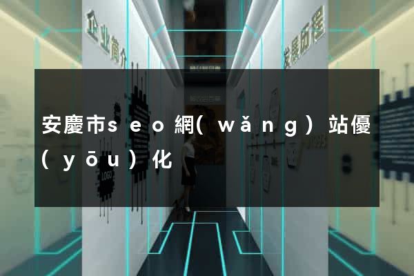 安慶市seo網(wǎng)站優(yōu)化