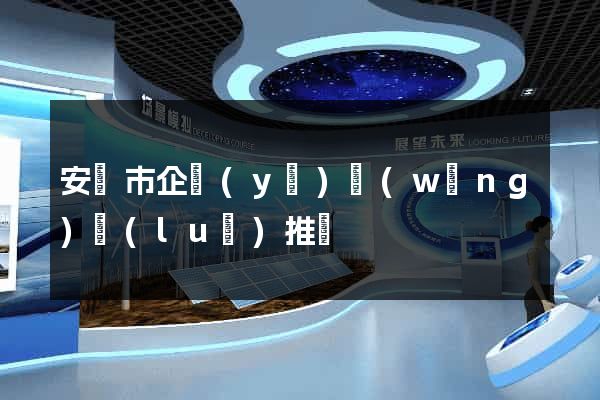 安慶市企業(yè)網(wǎng)絡(luò)推廣