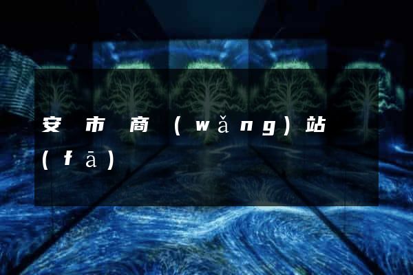安慶市電商網(wǎng)站開發(fā)