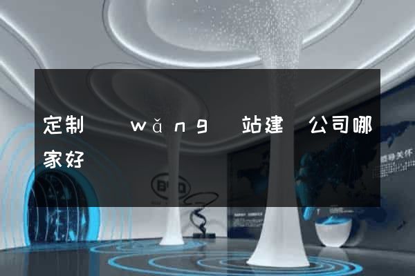 定制網(wǎng)站建設公司哪家好