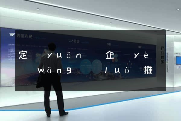 定遠(yuǎn)縣企業(yè)網(wǎng)絡(luò)推廣