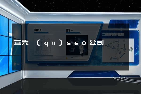 宜秀區(qū)seo公司