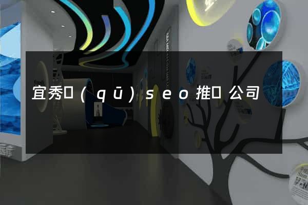 宜秀區(qū)seo推廣公司