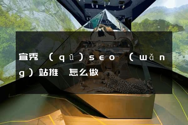 宜秀區(qū)seo網(wǎng)站推廣怎么做