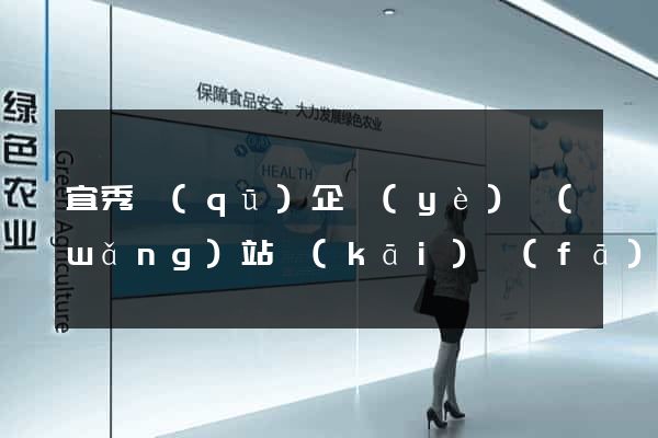宜秀區(qū)企業(yè)網(wǎng)站開(kāi)發(fā)