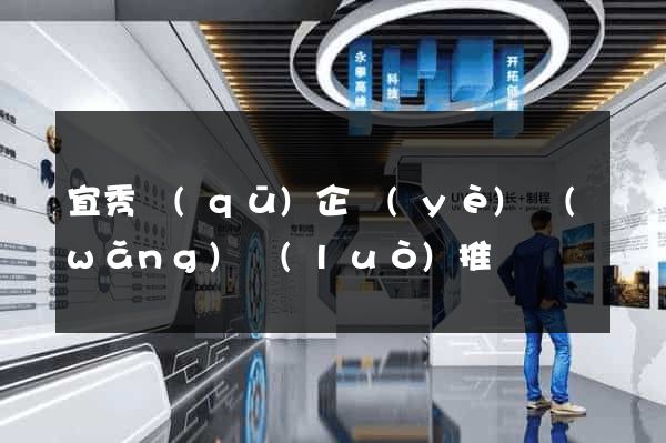 宜秀區(qū)企業(yè)網(wǎng)絡(luò)推廣