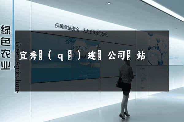 宜秀區(qū)建設公司網站