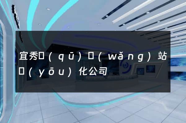 宜秀區(qū)網(wǎng)站優(yōu)化公司