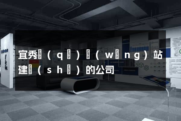宜秀區(qū)網(wǎng)站建設(shè)的公司