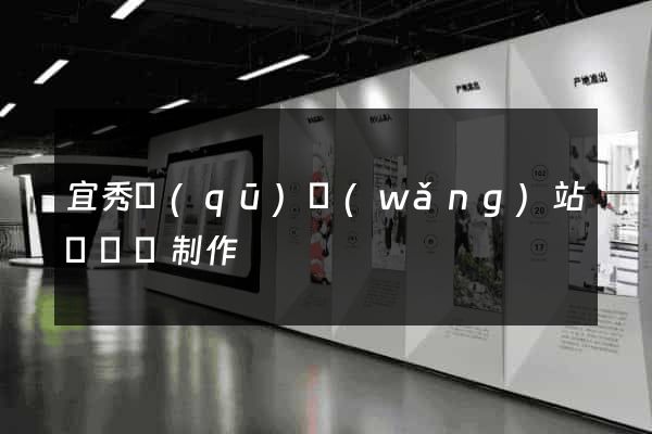 宜秀區(qū)網(wǎng)站設計與制作